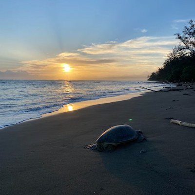 Hawaii Program Page 10