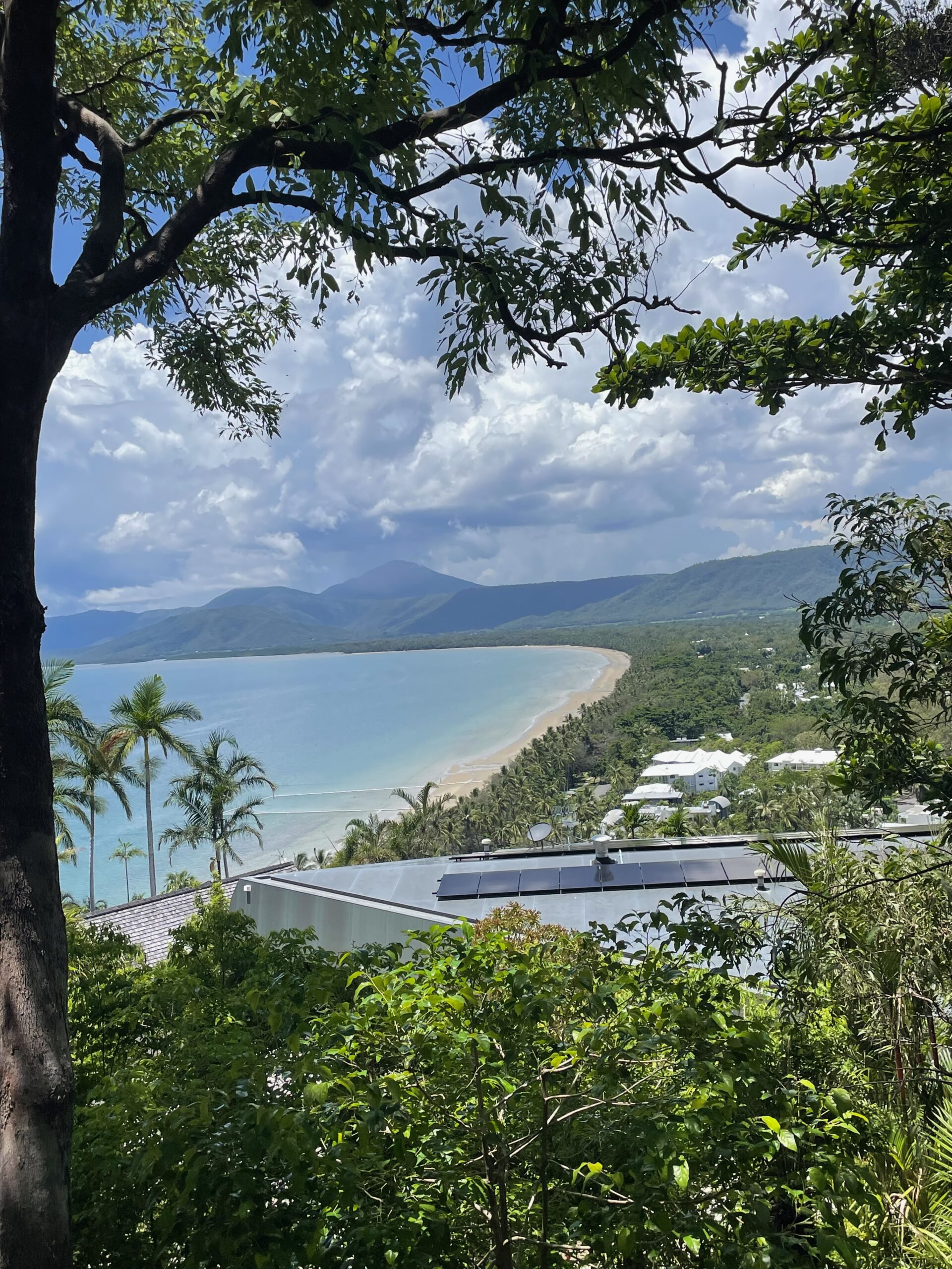 beautiful Port Douglas