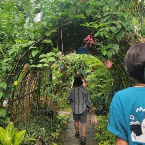 "Enchanted" in Chiang Mai