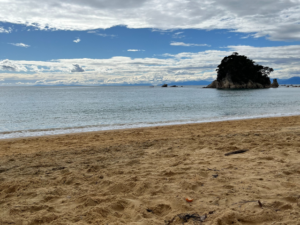 beach in NZ