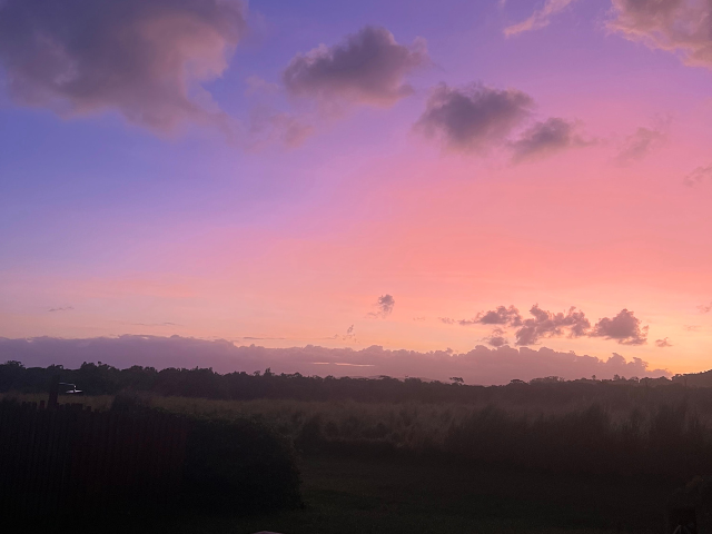 pink sky over new zealand plains